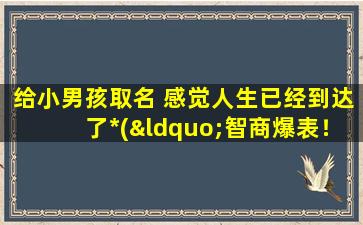 给小男孩取名 感觉人生已经到达了*(“智商爆表！听我给小男孩起名，让他一生*不断！”)